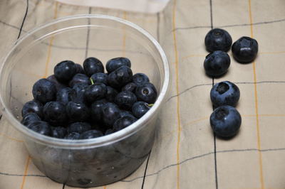 ���Ɛ��̖�؁E�ʕ�(by matu-chan)