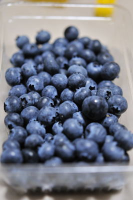 ���Ɛ��̖�؁E�ʕ�(by matu-chan)