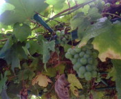 ������ƁB