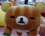 ������ƁB