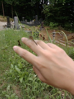 ������ƁB