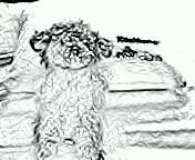 ������ƁB