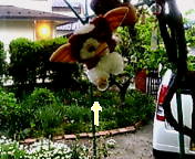 ������ƁB