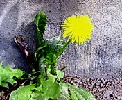 ������ƁB