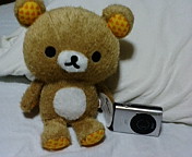 ������ƁB