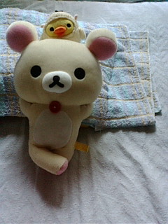 ������ƁB