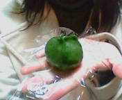 ������ƁB