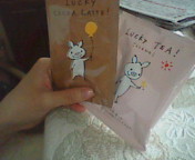 ������ƁB