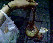 ������ƁB