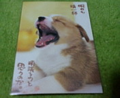 ������ƁB