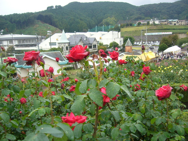 �ǌR�������₶�i���z������j