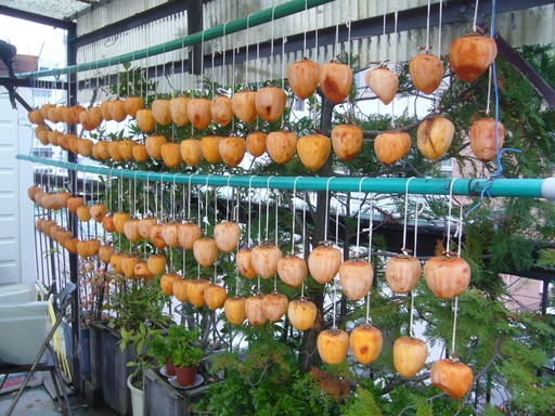 �ǌR�������₶�i���z������j