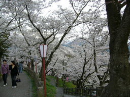 �ǌR�������₶�i���z������j