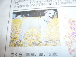 �ǌR�������₶�i���z������j