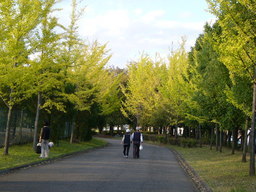 �ǌR�������₶�i���z������j