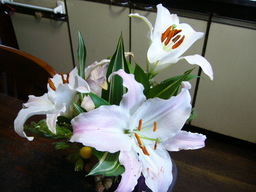 �ǌR�������₶�i���z������j