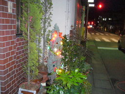 �ǌR�������₶�i���z������j