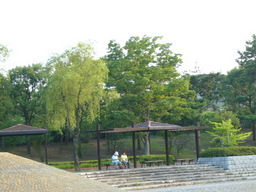 �ǌR�������₶�i���z������j