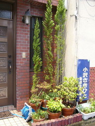 �ǌR�������₶�i���z������j