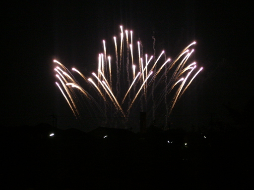 �ǌR�������₶�i���z������j