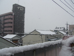 �ǌR�������₶�i���z������j