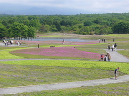 �ǌR�������₶�i���z������j