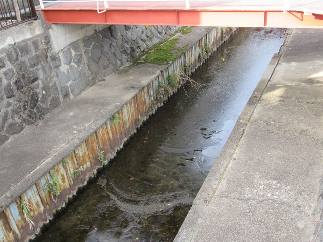 ��ɕX�������Ă��܂����B�i�R�����E�w�тƕ�炵�̑��k���j