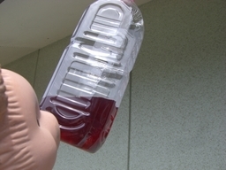 ܂̃K[f