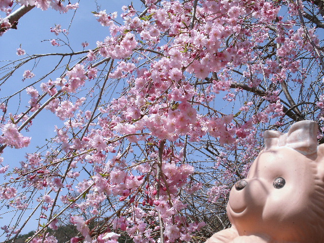 ܂̃K[f