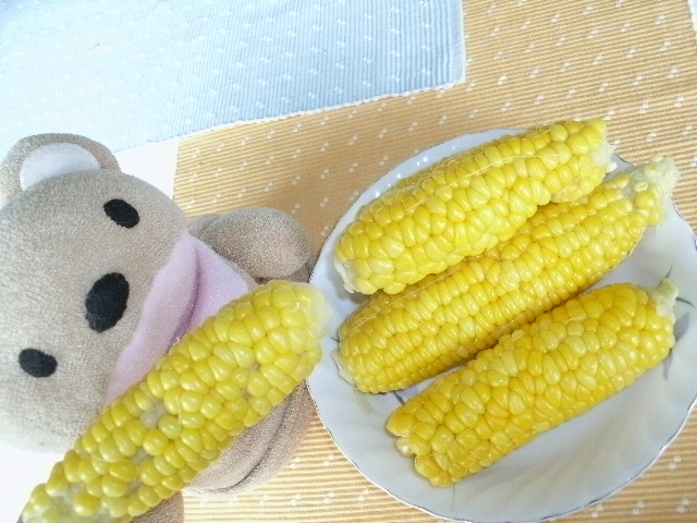 ܂̃K[f