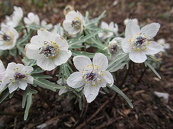 �~�܂����܂܂̎��ԁi���̗��l���c�j