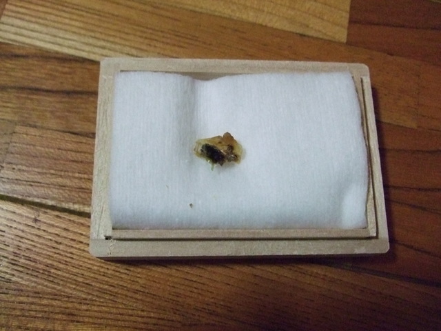 ������s��������s����������