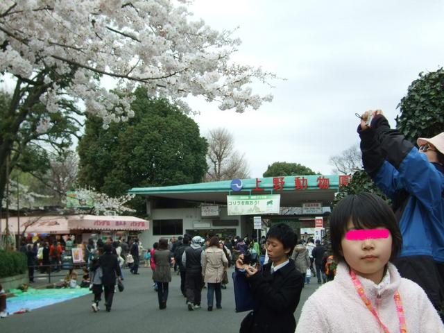 ������s��������s����������