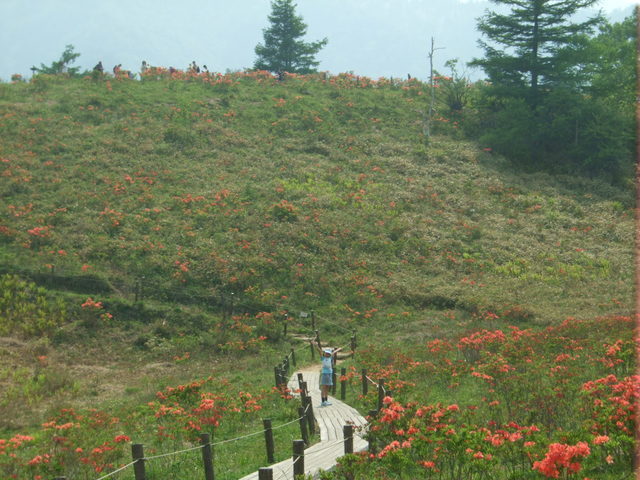 ������s��������s����������