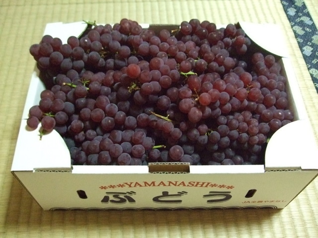 ������s��������s����������