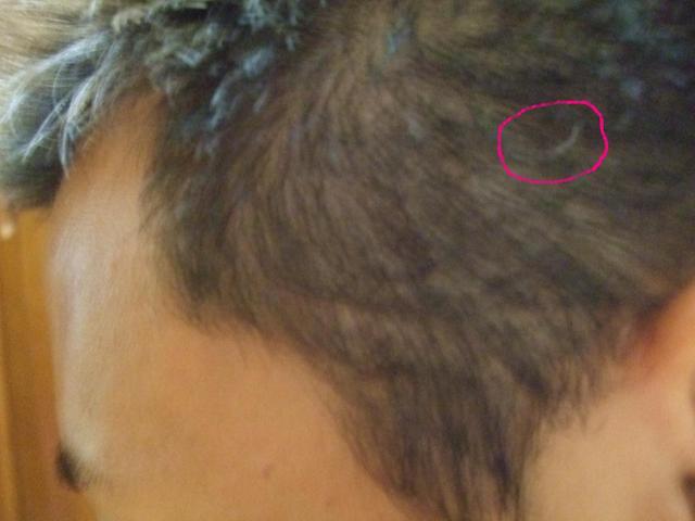 ������s��������s����������