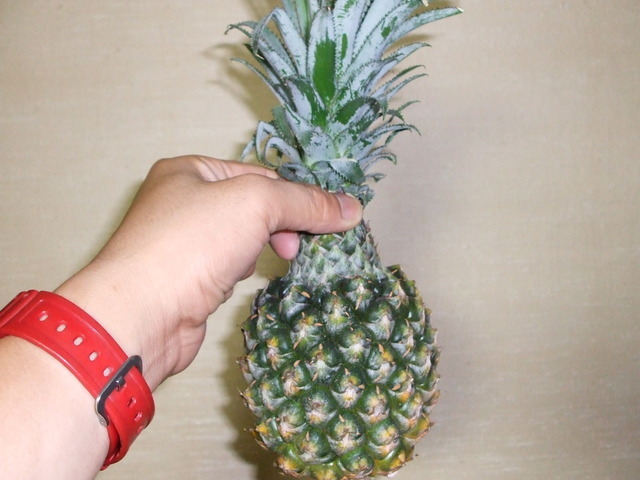 ������s��������s����������