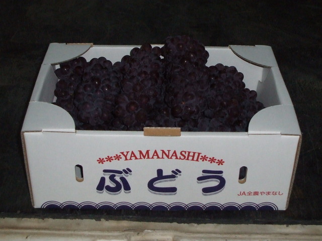 ������s��������s����������