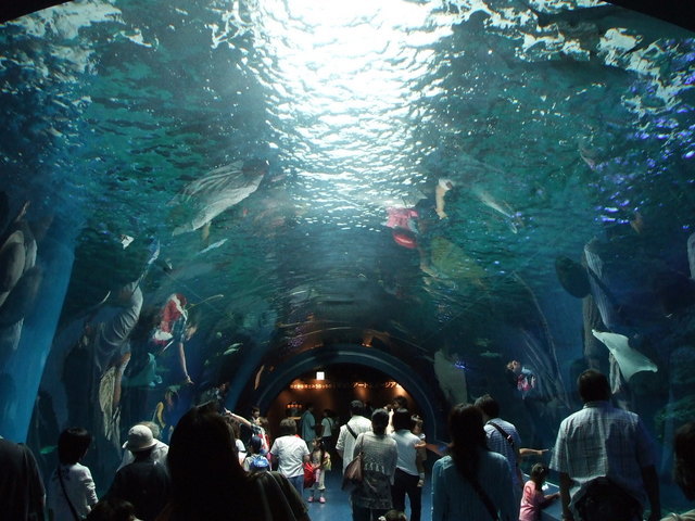 ������s��������s����������