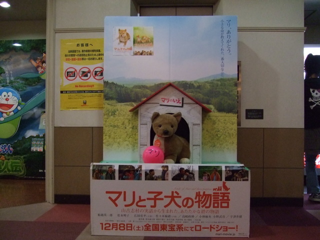 ������s��������s����������