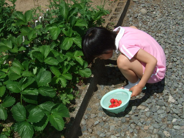 ������s��������s����������