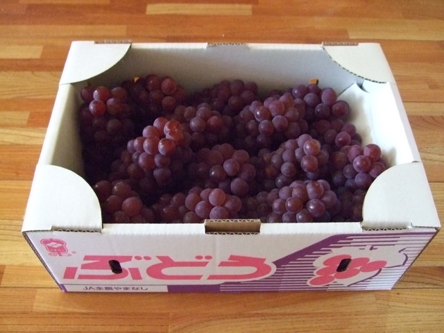 ������s��������s����������