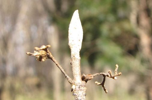 �l�G�̐X�A�X�V��