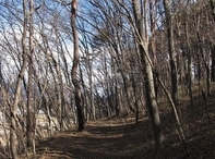 �l�G�̐X�A�X�V��