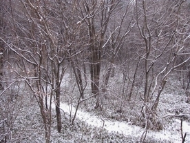 �l�G�̐X�A�X�V��