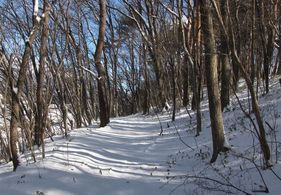 �l�G�̐X�A�X�V��