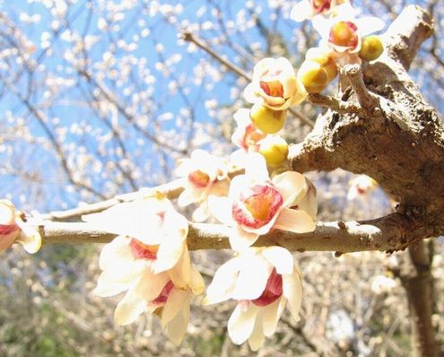 �l�G�̐X�A�X�V��