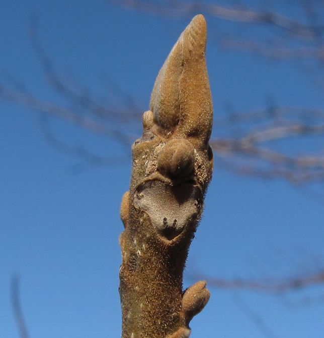 �l�G�̐X�A�X�V��