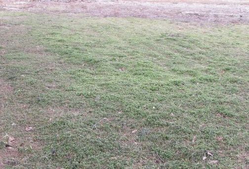 �l�G�̐X�A�X�V��