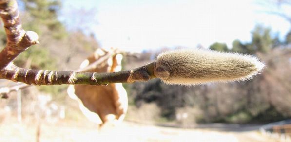 �l�G�̐X�A�X�V��